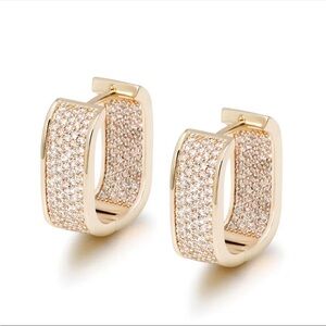 Mirco pave CZ Sparkly Earring hoop Hoops Designer Luxury New Gold Plated